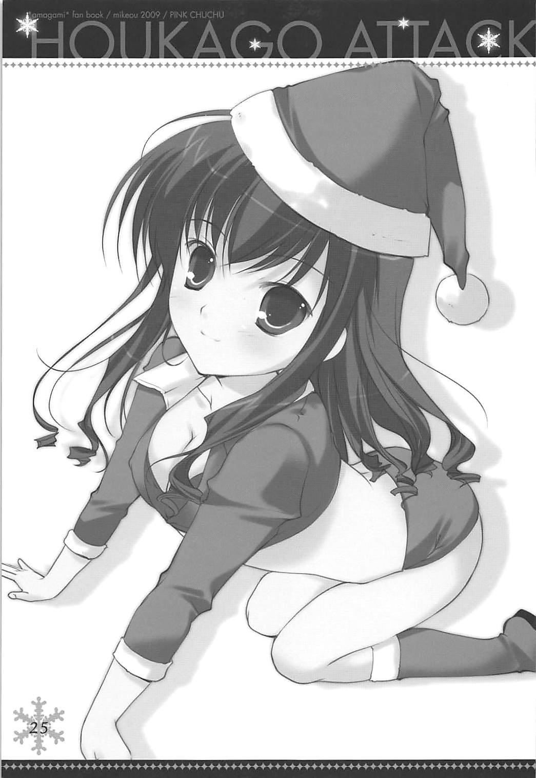 ホウカゴアタック