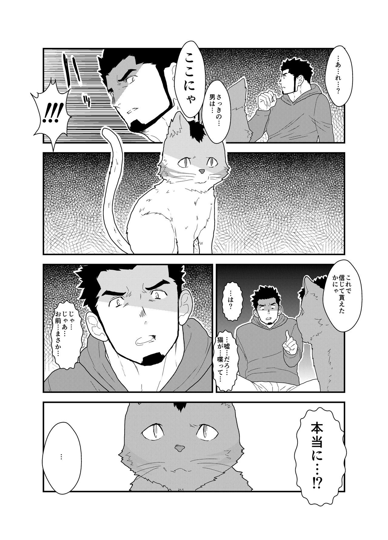 化け猫の物語