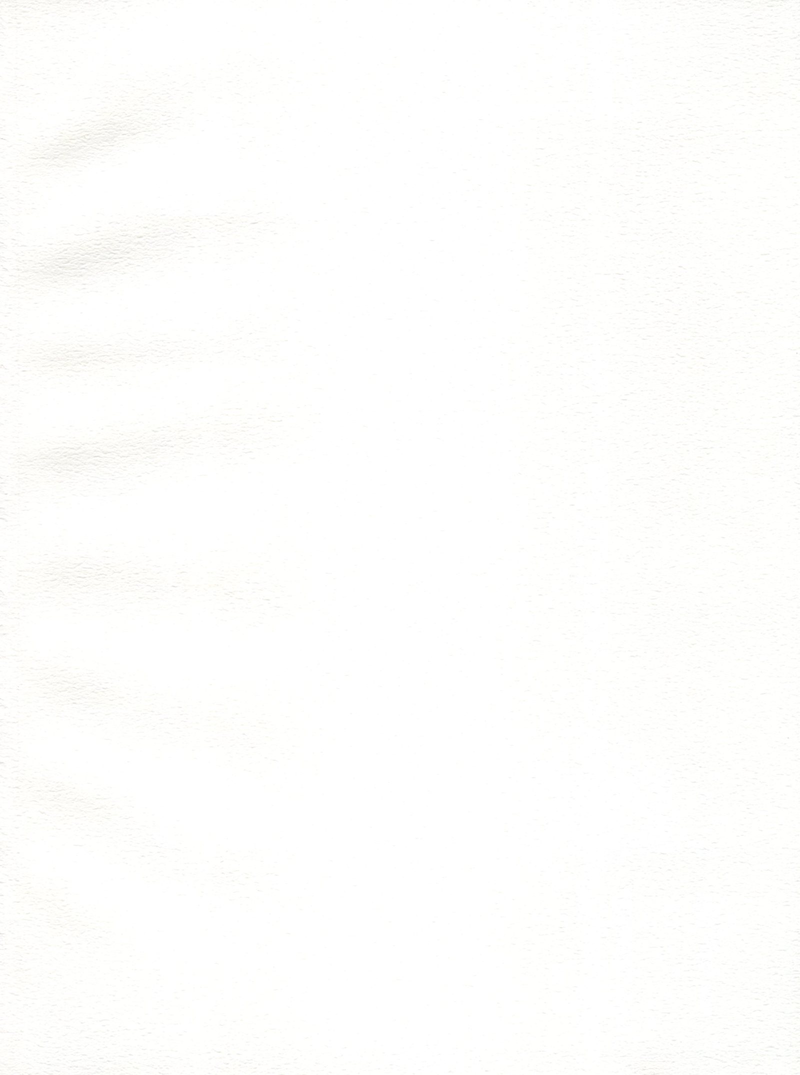 パパと私の秘密のアトリエ2