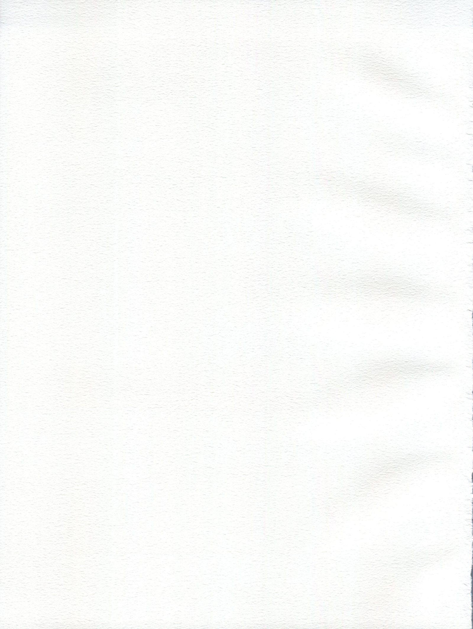 パパと私の秘密のアトリエ2