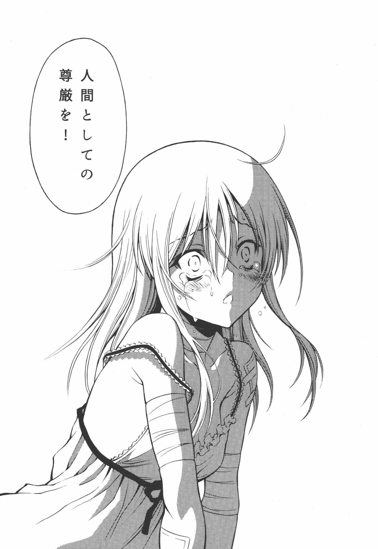 Ple12ストーリー