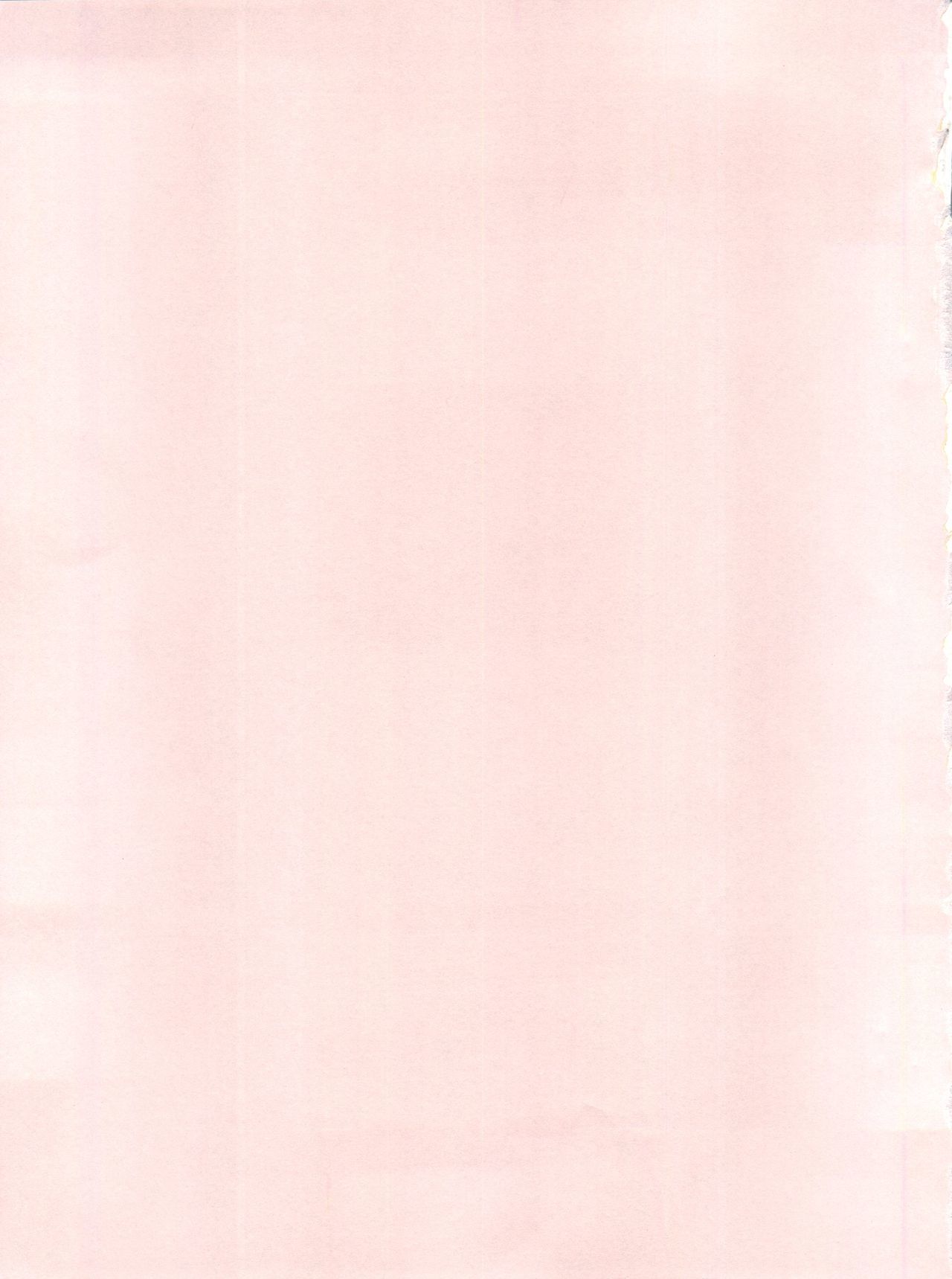 【ピンクマカダミアンPINKMACADAMIANVol。 2