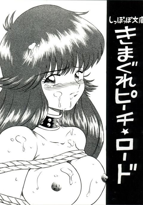 しぞつこ文庫きまぐれピーチロード