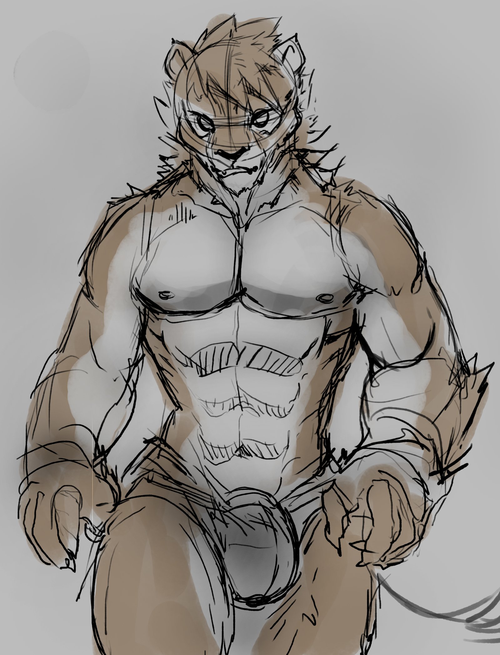 猫地師2018年2月パッケージ特典