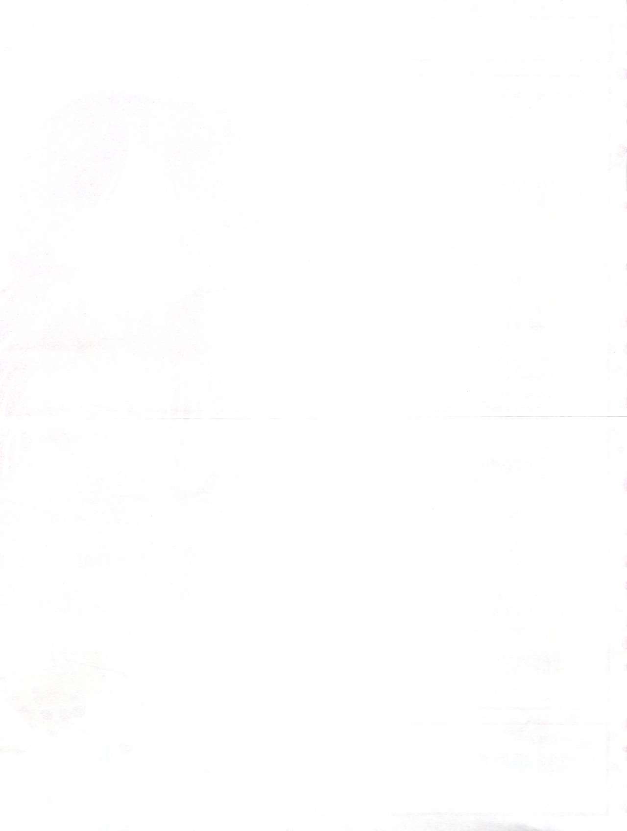 真美とめぐみのはなびらシャワー