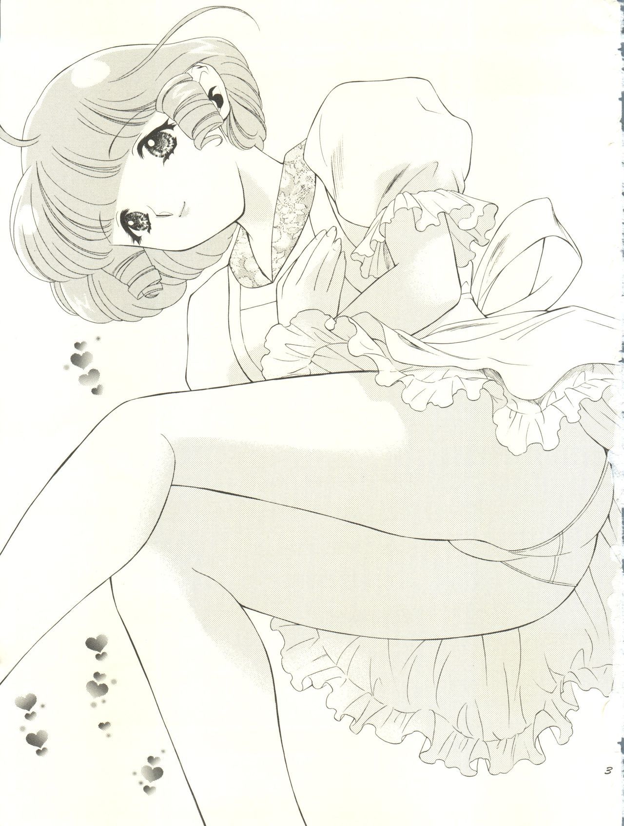 真美とめぐみのはなびらシャワー