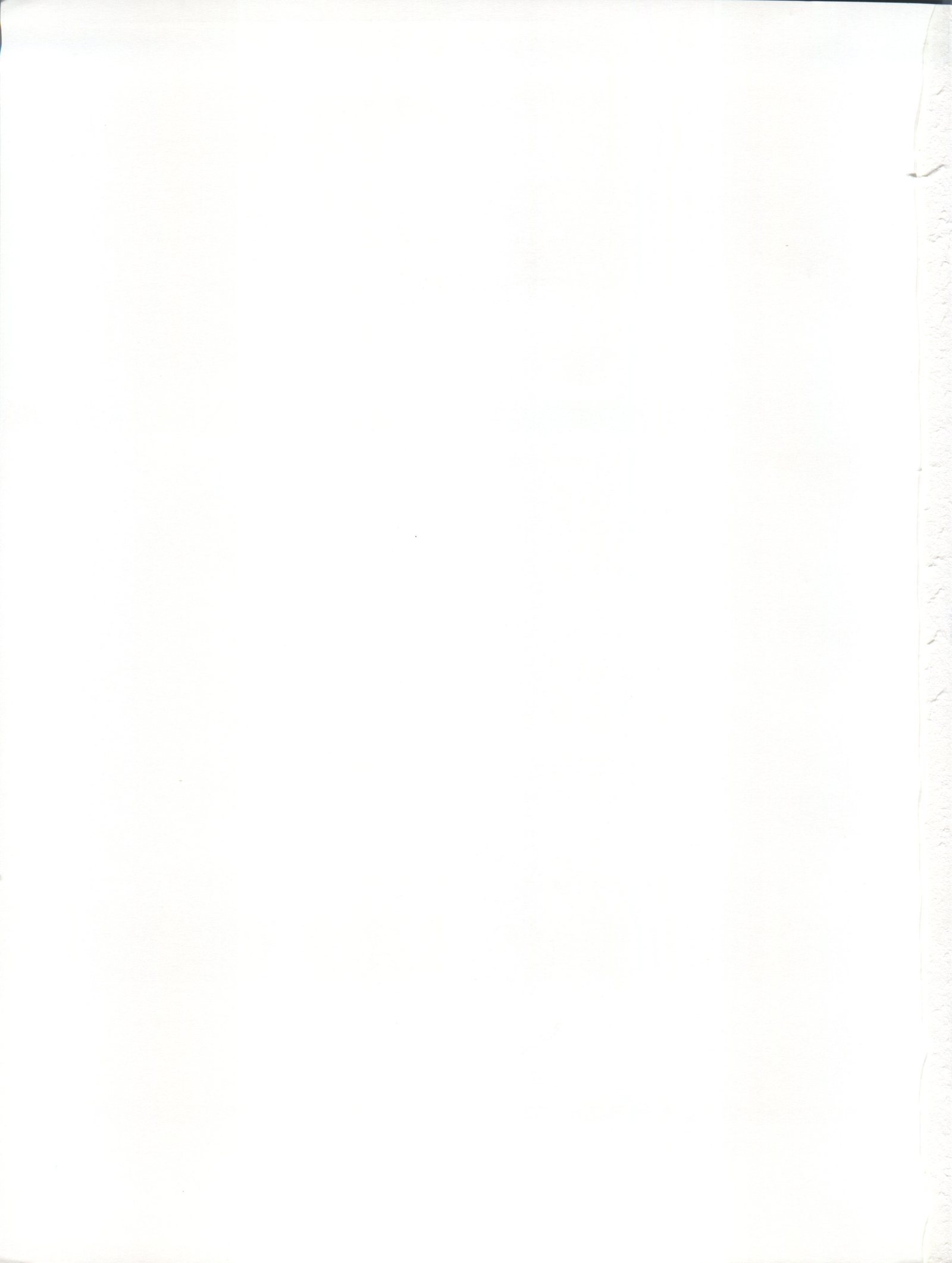 アクティブピーチファイナル