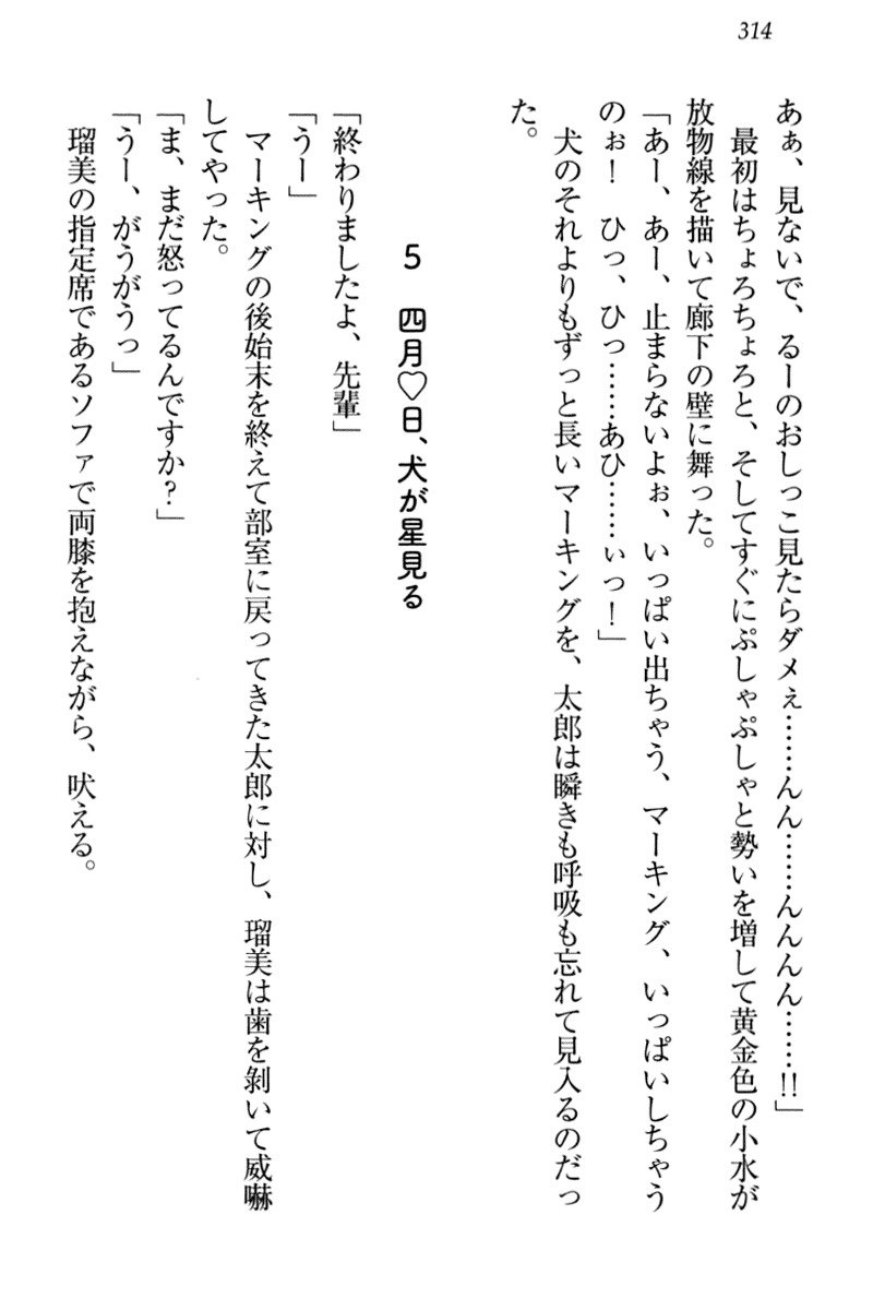 ぼくとるうせんぱいのほうかごちょうきょうにっし-きょうもわたしおしつけなさい！