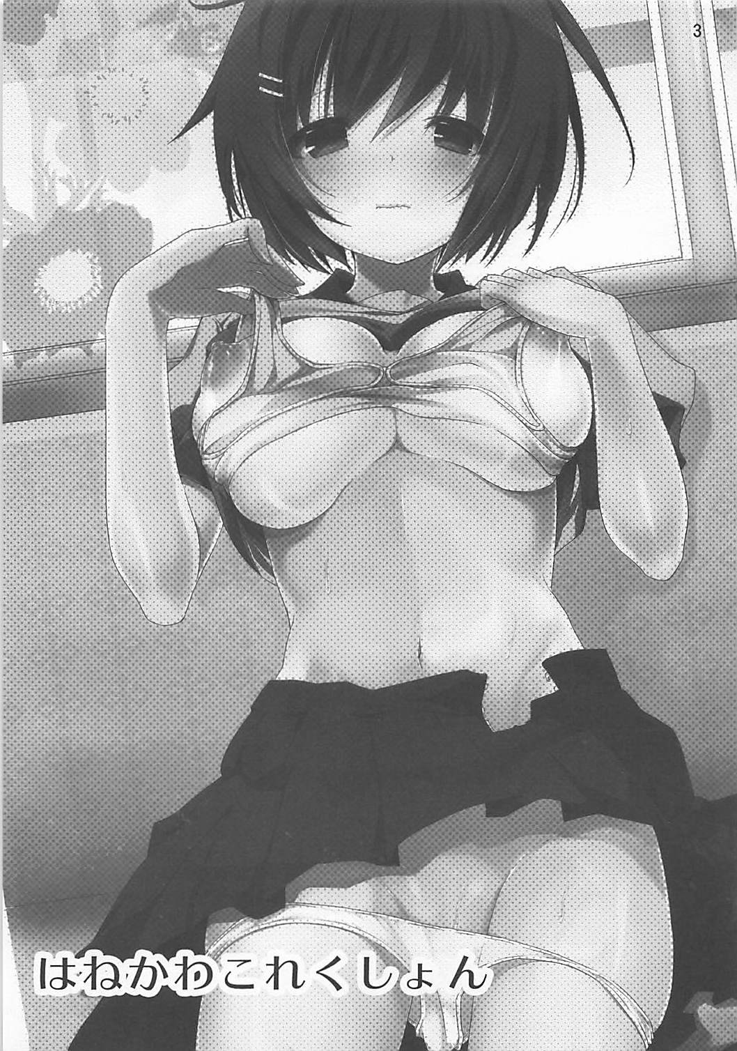 羽川コレクション