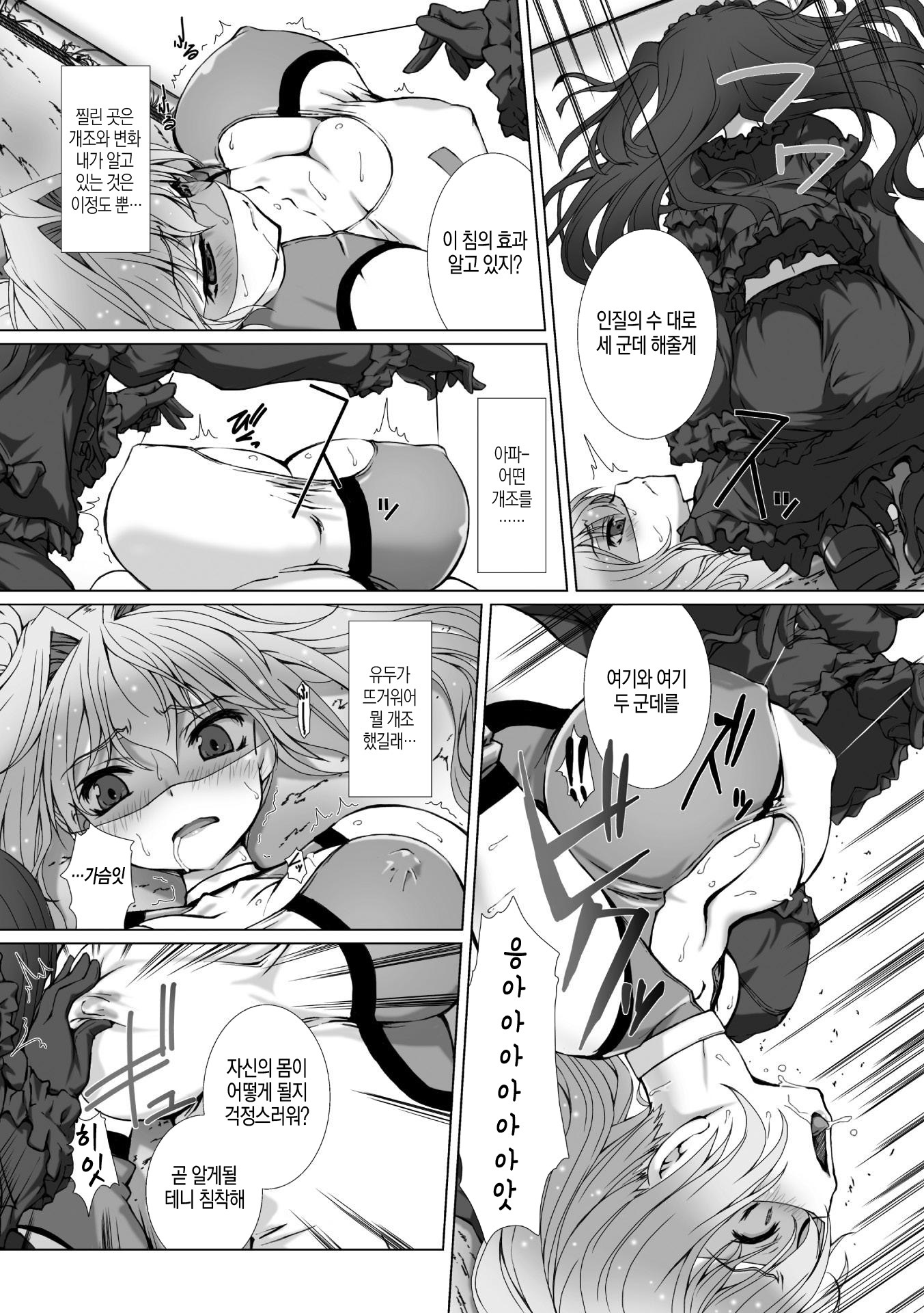 ヘンゲンそうきシャインミラージュTHECOMIC EPISODE 5-6