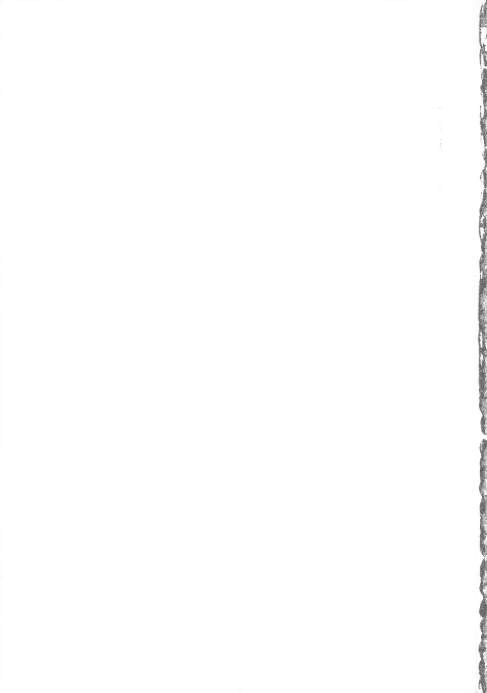 とてもかわいい2