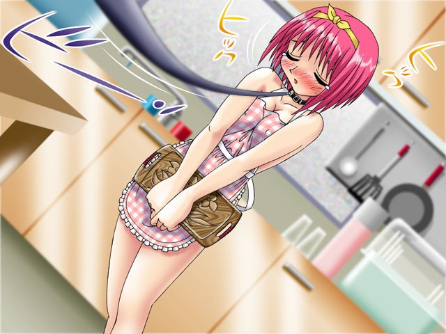 GRA-PROレトロDoujinCGセット