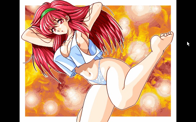 GRA-PROレトロDoujinCGセット