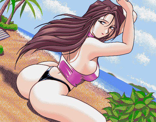 GRA-PROレトロDoujinCGセット