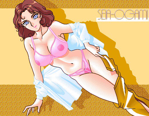 GRA-PROレトロDoujinCGセット