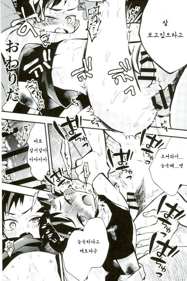 ぼくらのてとらくん彼