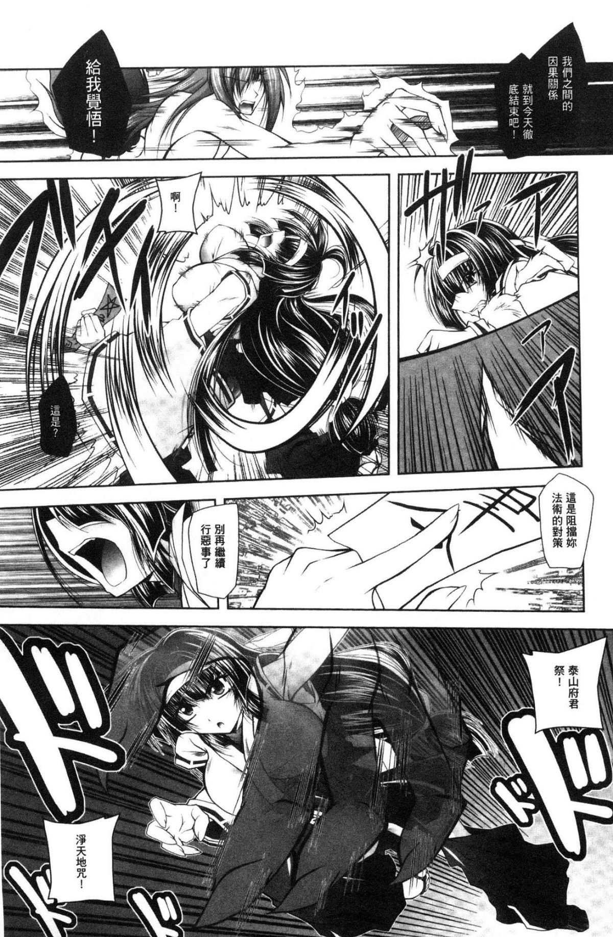 堕ちた正義-失墜聖技-