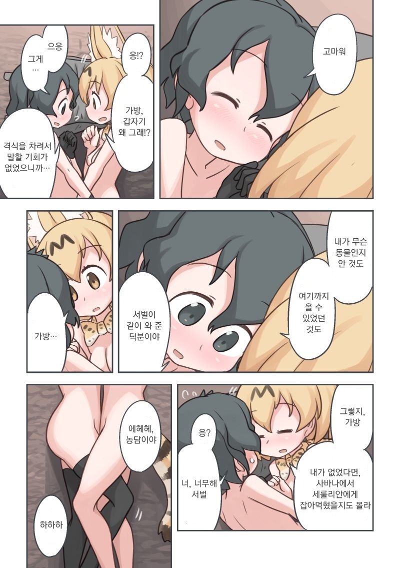 タキビ| 모닥불