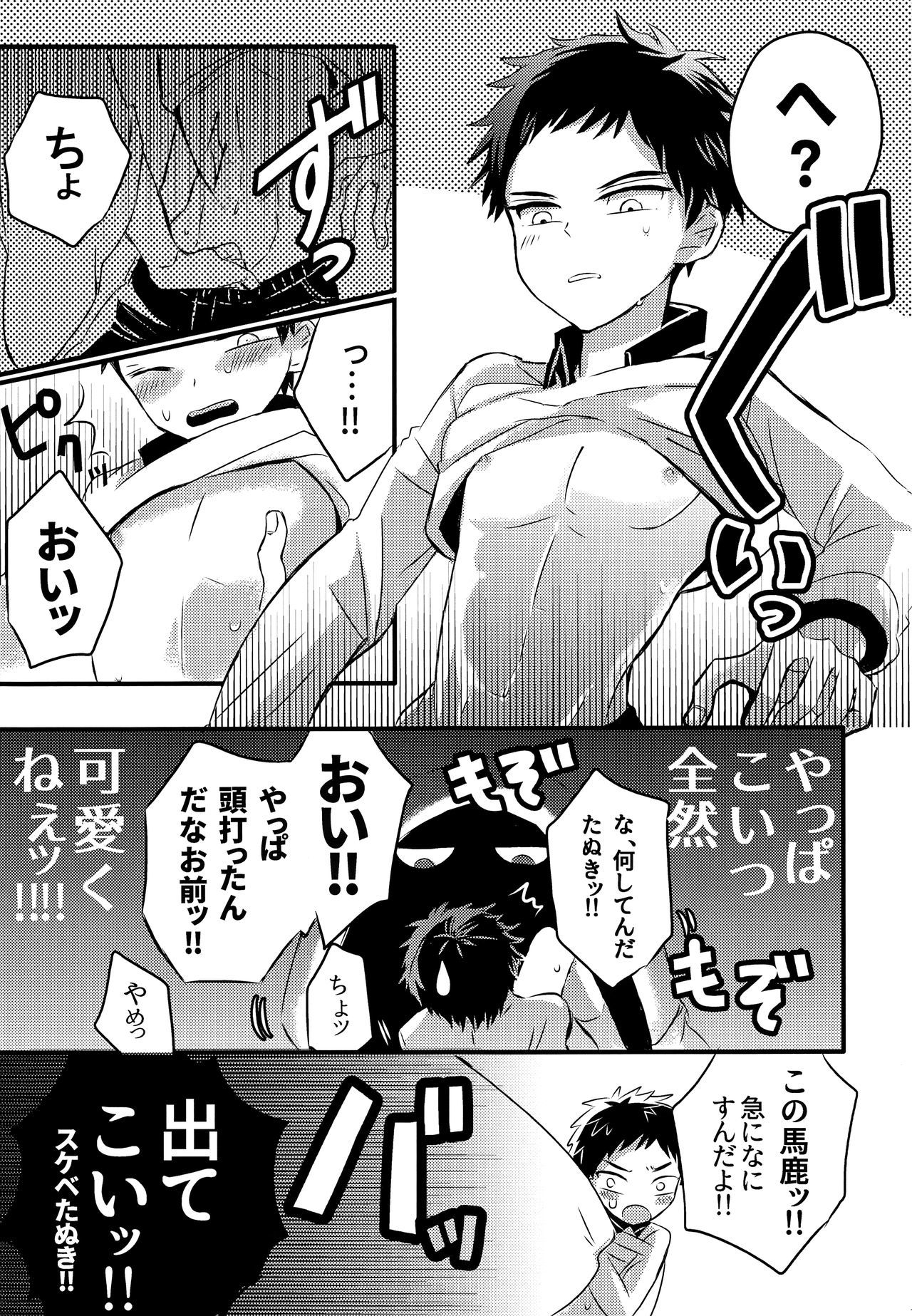 同田貫のきらいなてれべやでのクダラナイ大花。