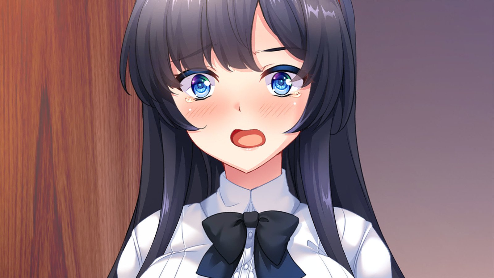 美少女ゲーム清遊はまくら英雄の夢をミルカ