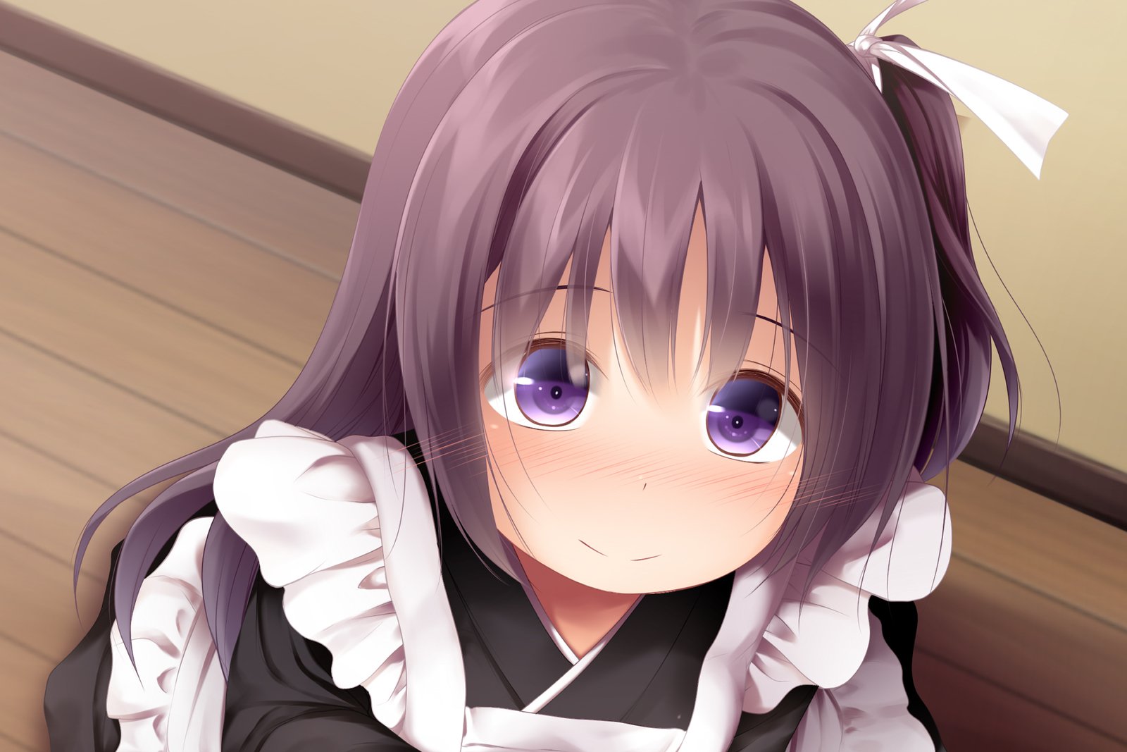 エッチな座敷童子はすきですか？ 5