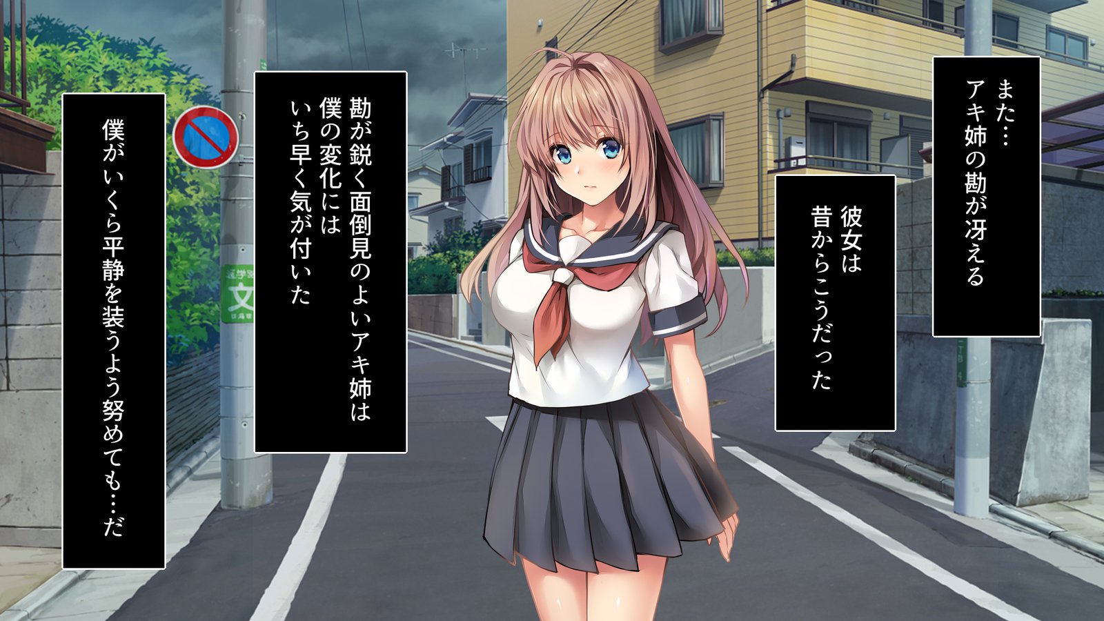 陥る…-おさななじみがネトラレル-