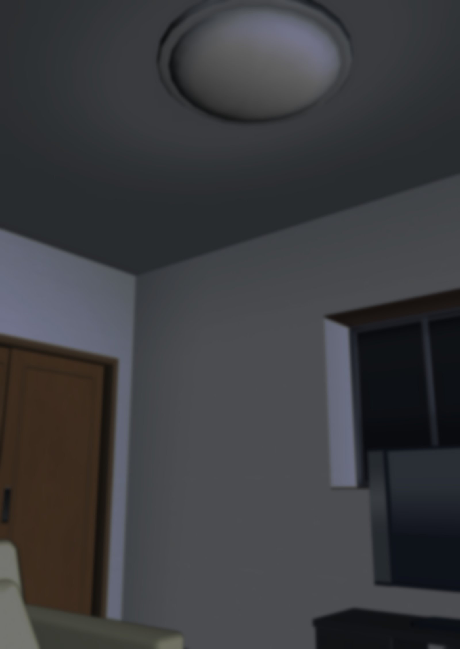 メイドのひかるにホウケイバカにサレナガラシャセイスルハナシ。