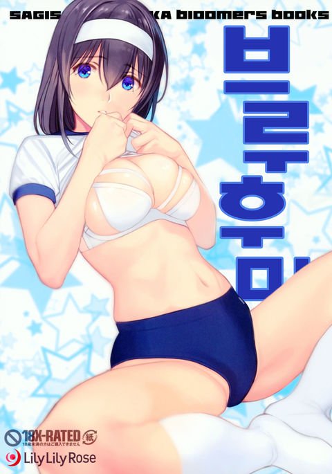 ブルフミ+プチアカブル