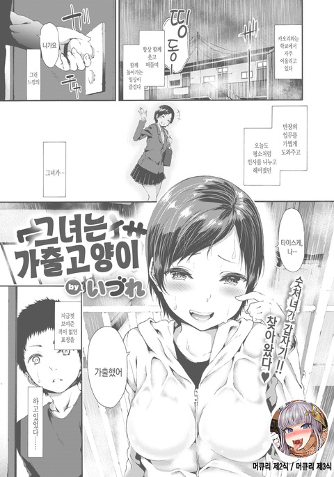 カノジョはイエデネコ| 그녀는가출고양이