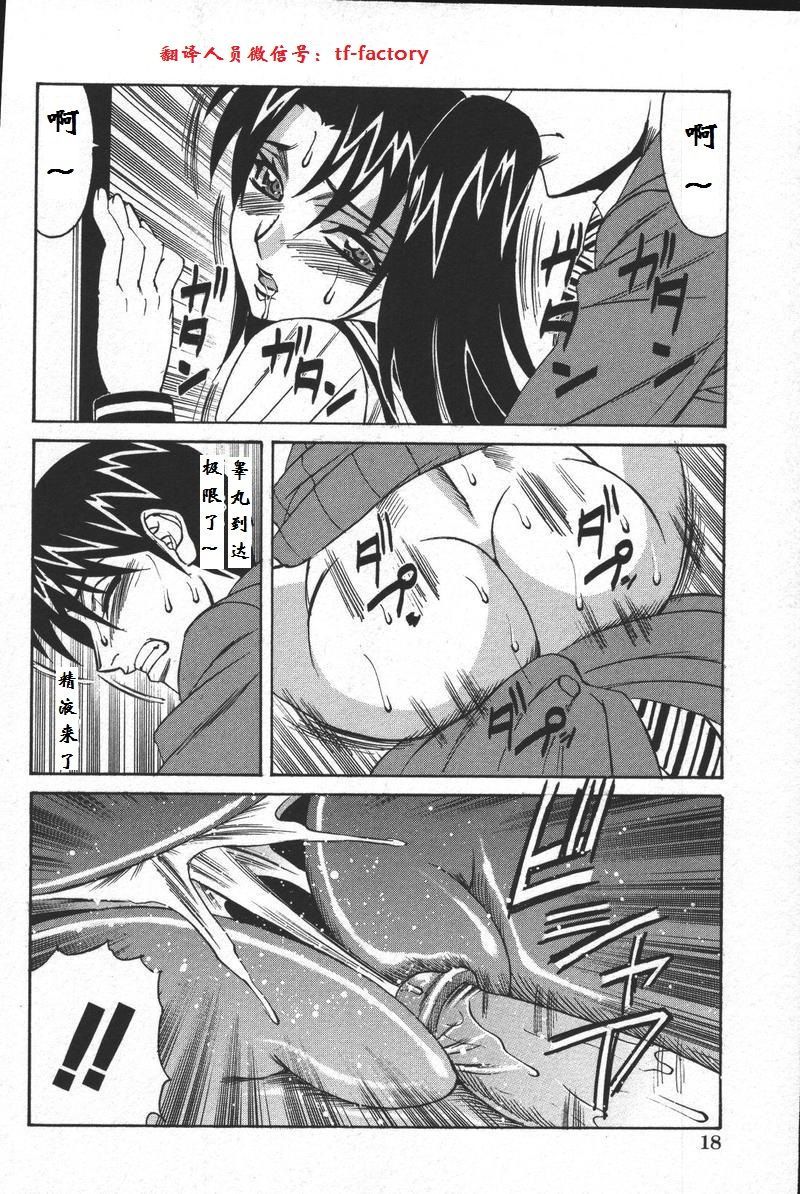 金団の写洋中橋ちかん