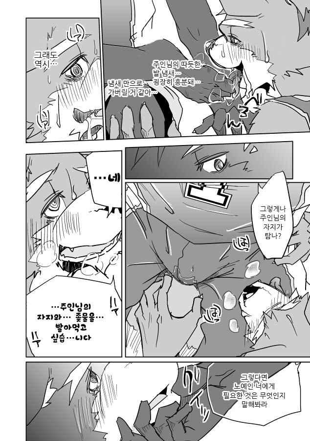 犬のしつけかた