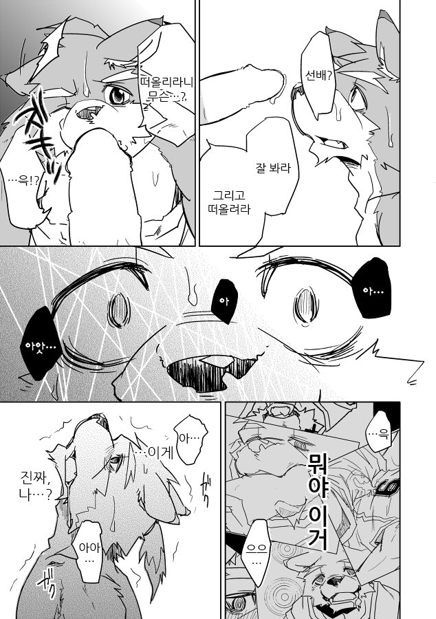 犬のしつけかた