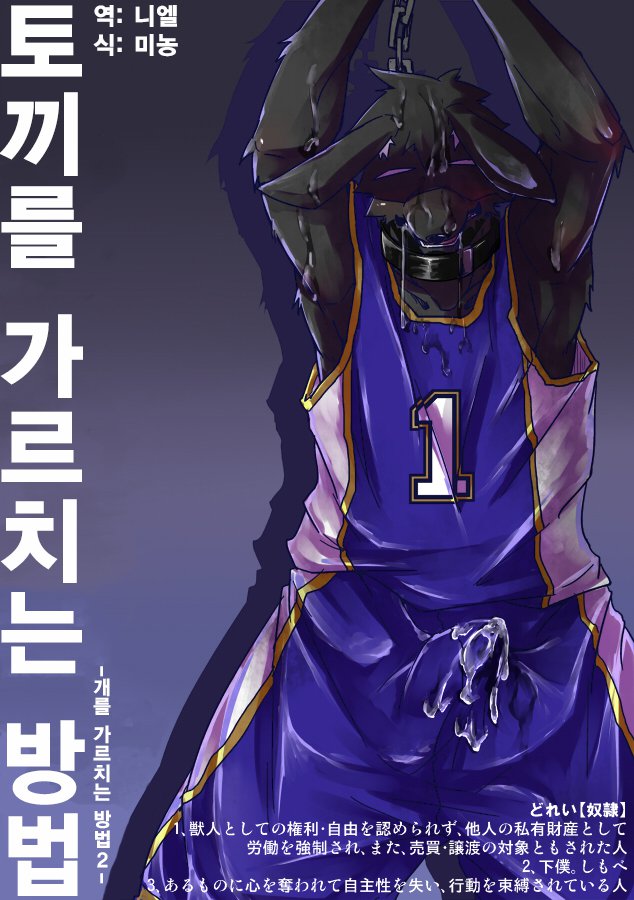 犬のしつけかた