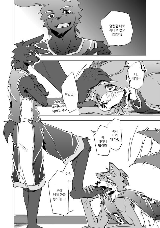 犬のしつけかた