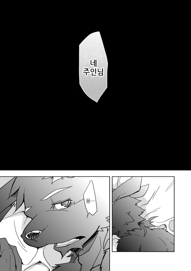 犬のしつけかた