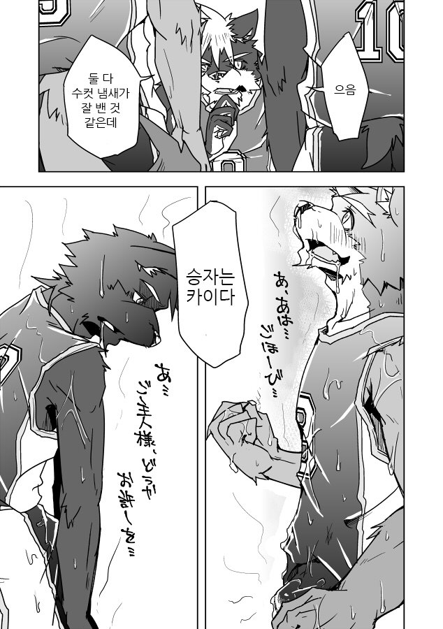 犬のしつけかた