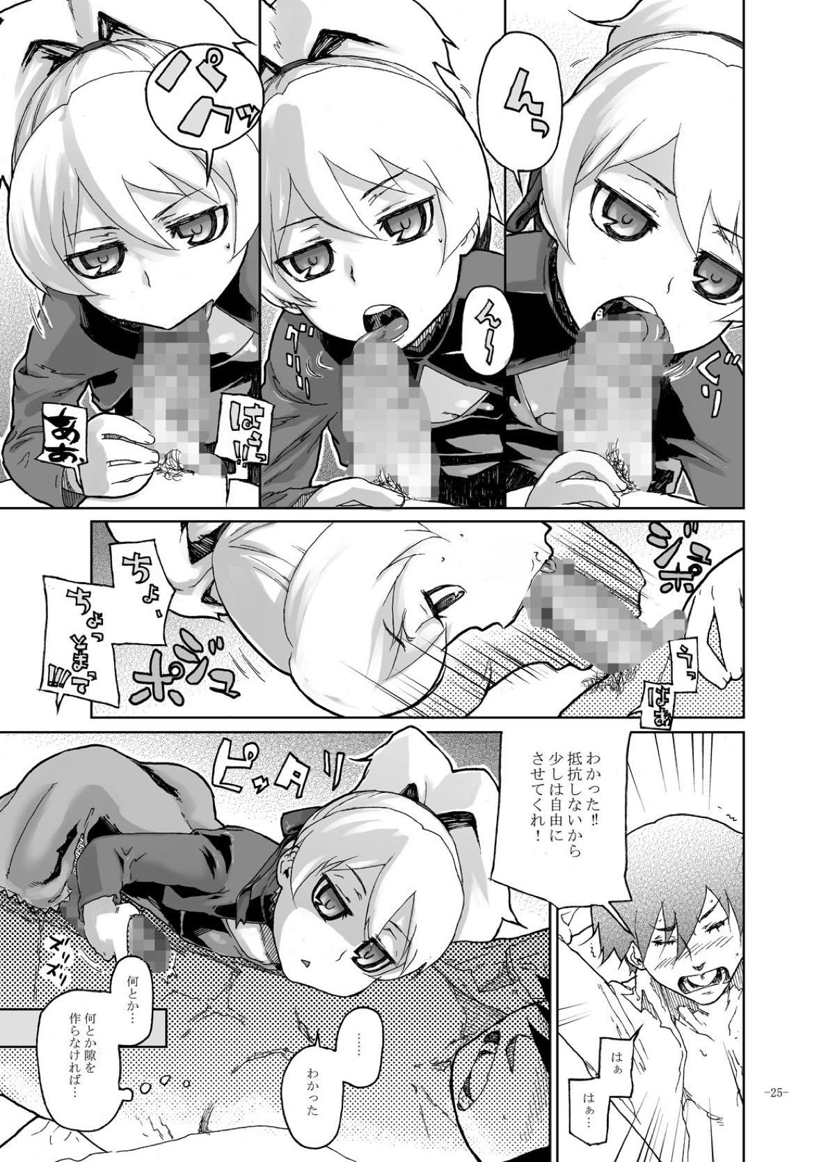 白井うそたち
