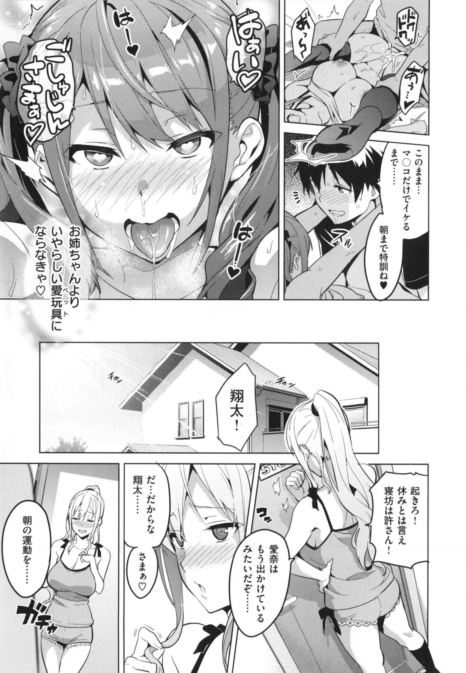 シスターブリーダー+とらのあな、メロンブックス幻想徳天