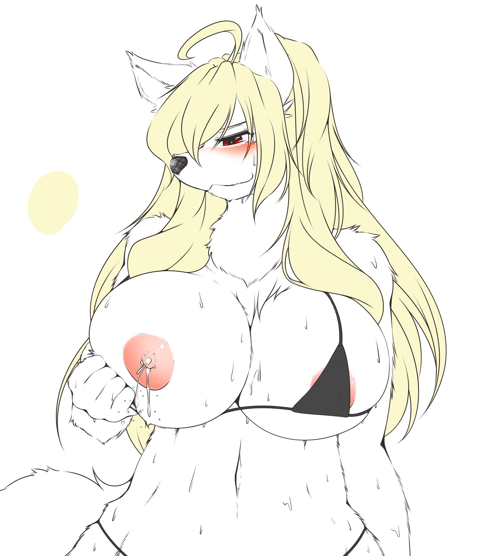 YUSのポートフォリオ-ReCollection1＆amp; 2