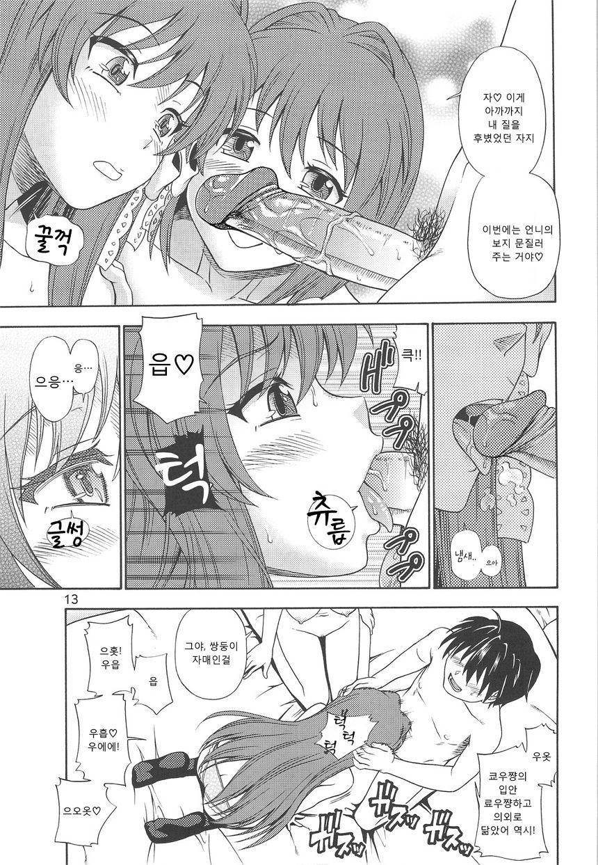 藤林など-藤林ツインズアフターストーリー