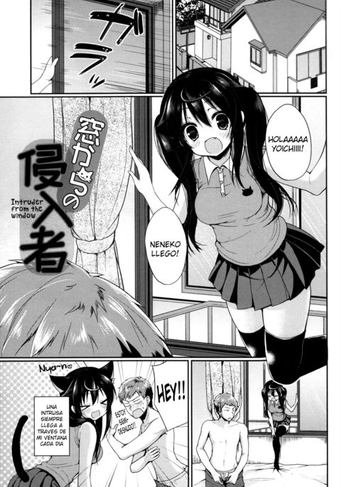 真堂からの新流社-窓からの侵入者