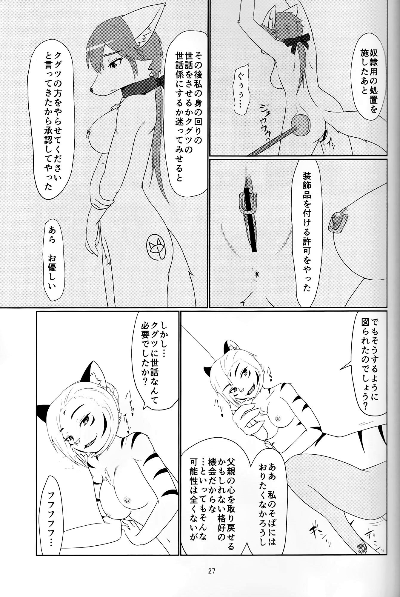 アヤツリニンギョウ