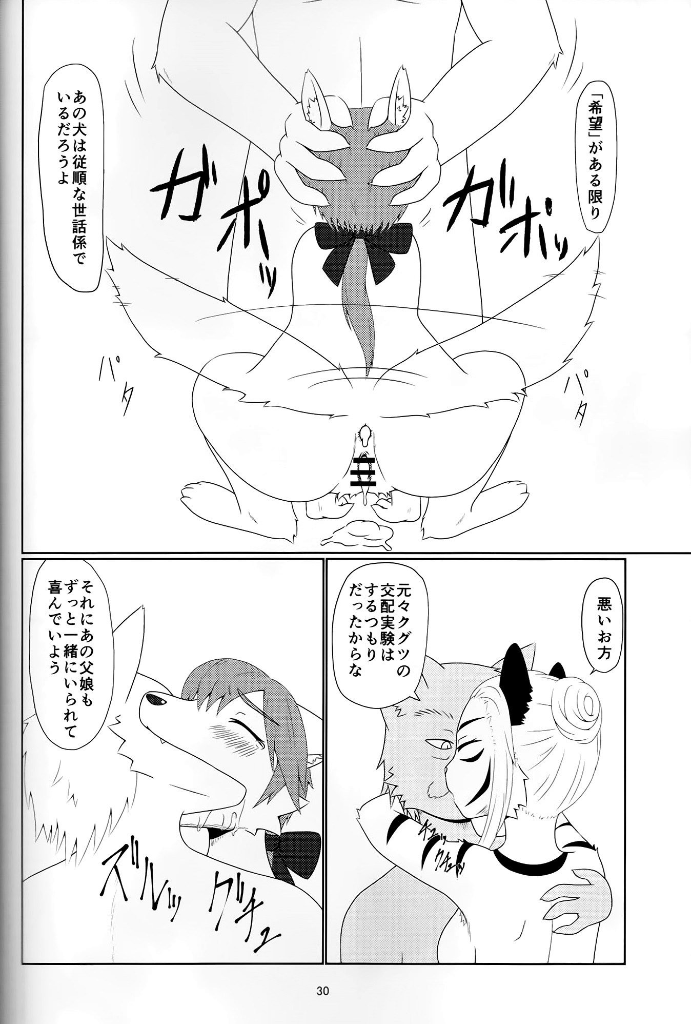 アヤツリニンギョウ