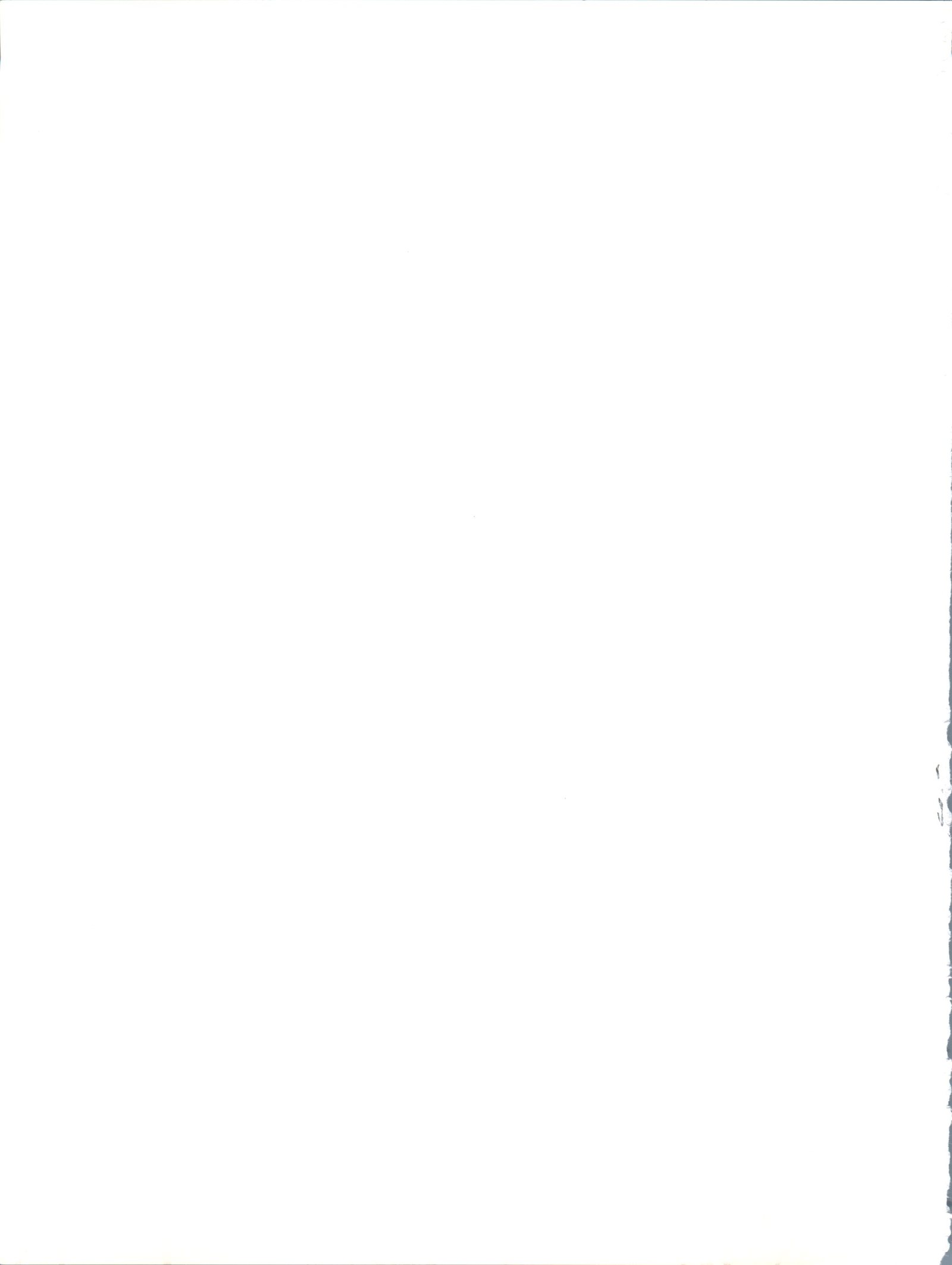 BTB19.3-キョウノオヒルはナウニ