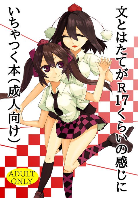 あやとはたてがR17倉井の漢字に一宿本