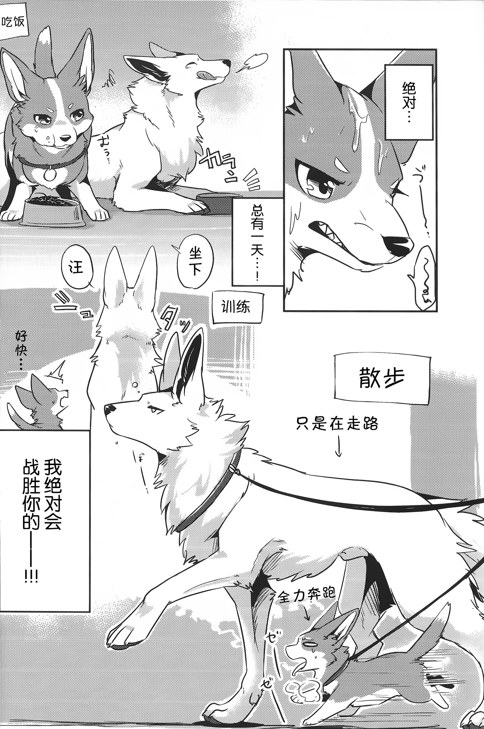 1DK、ぼくらと。 |恋人小公寓、与我俩。