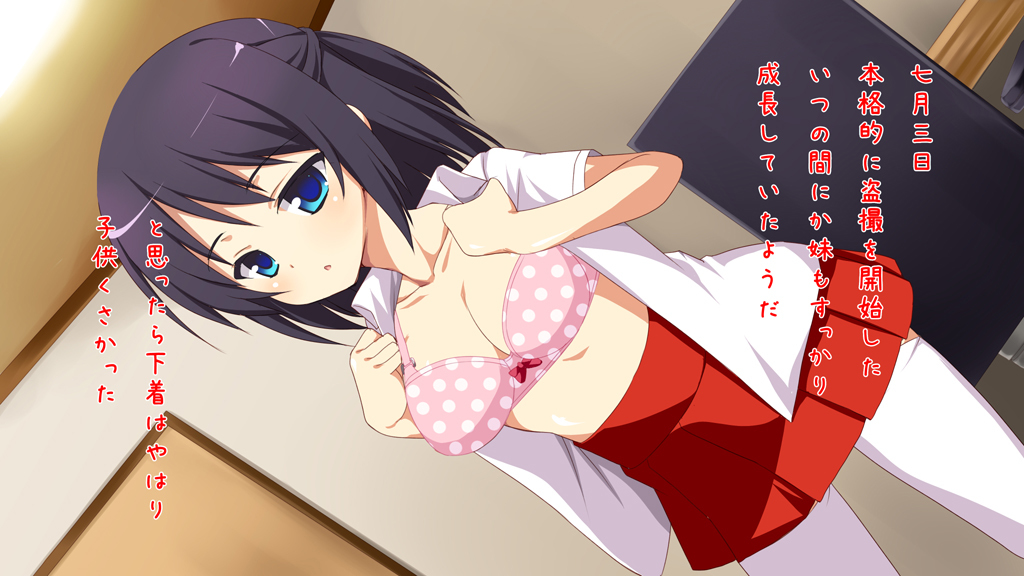 いもうとうさつキロク