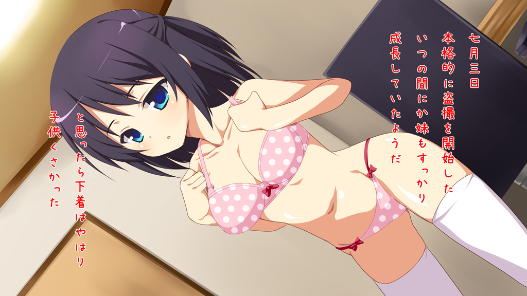 いもうとうさつキロク