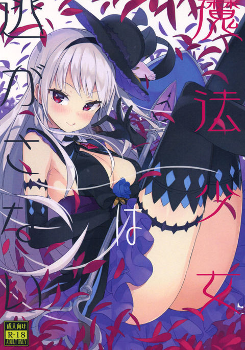 魔法少女は二ヶ佐内