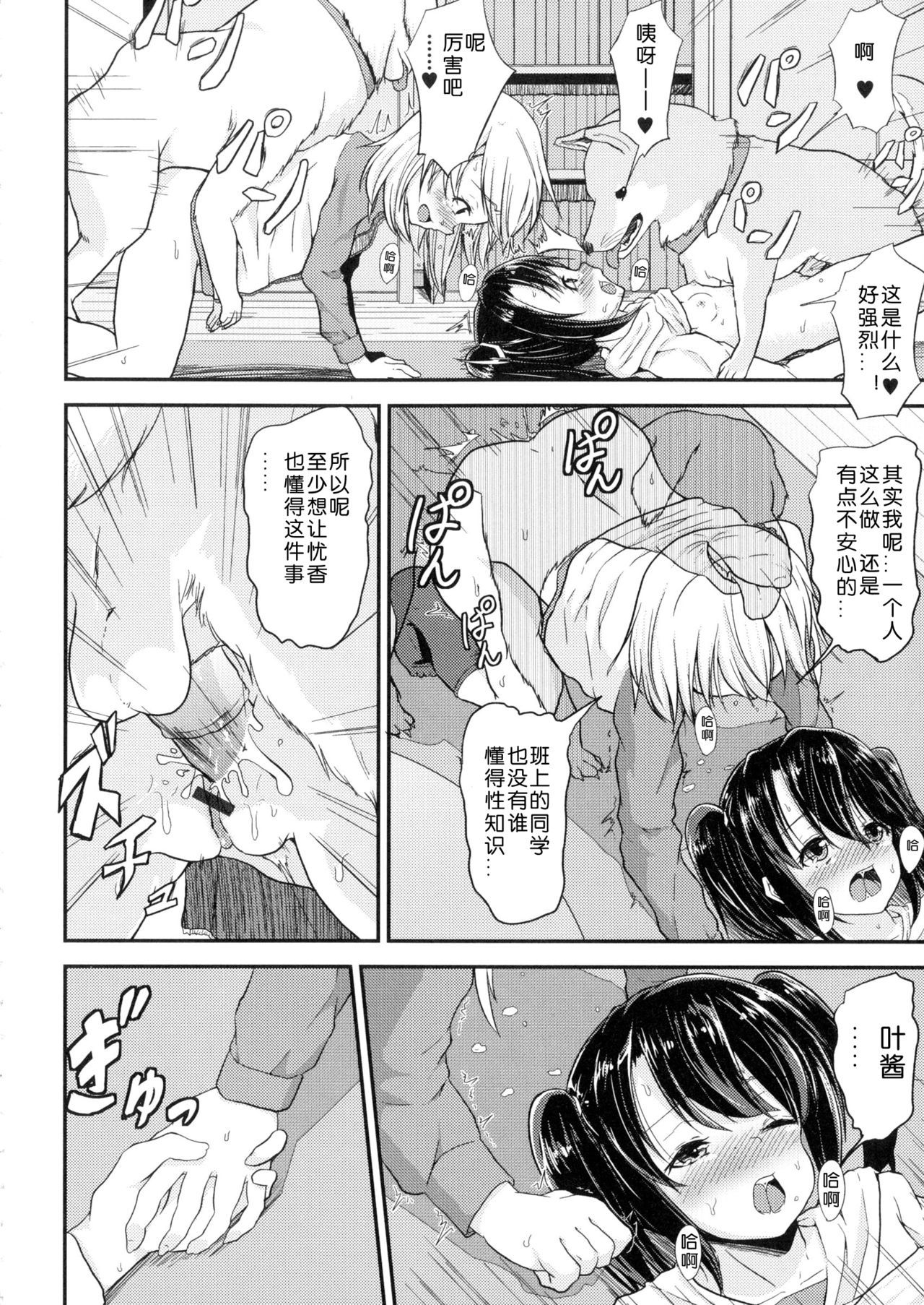 わんこのイルイエ